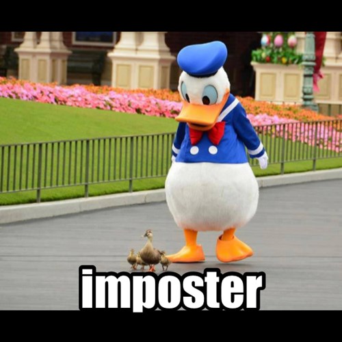 Animal Comedy - donald duck - Animal Comedy - Animal Comedy, funny