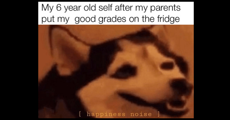 happy husky dog meme