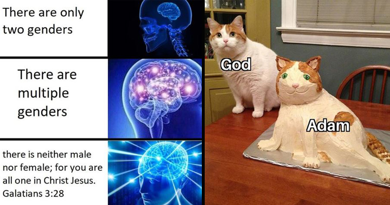 2 гендера. There are more than two genders. There are more than two. There are more than 2 genders. There are more than two.