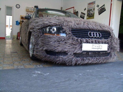 car furry