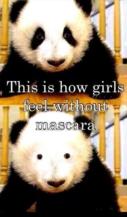 Puns Panda Funny Puns Pun Pictures Cheezburger