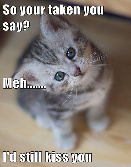 So Your Taken You Say Meh I D Still Kiss You Lolcats Lol Cat Memes Funny Cats Funny Cat Pictures With Words On Them Funny Pictures Lol Cat Memes Lol Cats