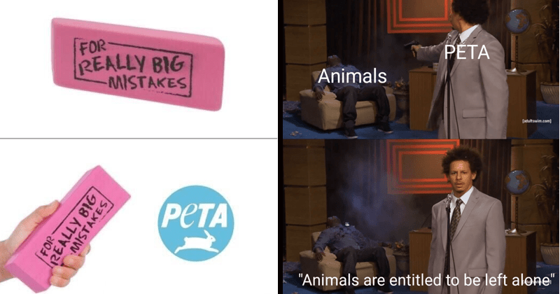 17 Scathing Anti-PETA Memes For Anyone In The Resistance - Memebase ...