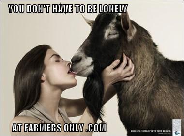 you don't have to be lonely at farmers only com cheezburger you don't have to be lonely at farmers only com cheezburger