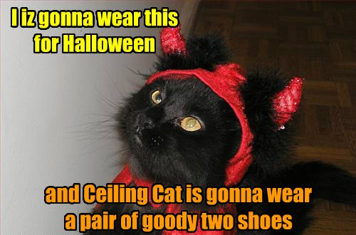 You're Such a Little Devil - Lolcats - lol | cat memes | funny cats ...