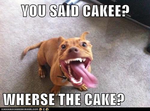 I Has A Hotdog - hungry - Funny Dog Pictures | Dog Memes | Puppy Pictures |  Pictures of dogs - Dog Pictures - Funny pictures of dogs - Dog Memes -  Puppy pictures - doge - Cheezburger