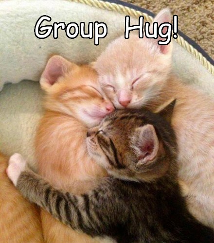 The Best Kind of Hugs are Group Hugs - Lolcats - lol | cat memes