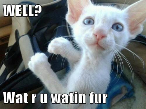 Let's Get This Thing Moving! - Lolcats - lol | cat memes | funny cats