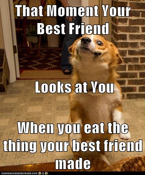 That Moment Your Best Friend Looks at You When you eat the thing your ...