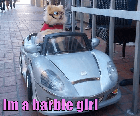 barbie dog car