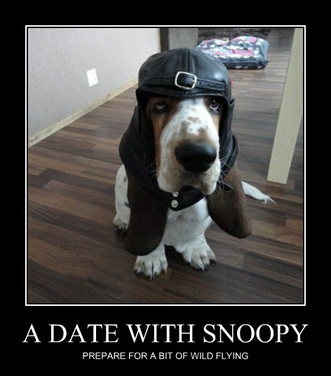 It S Snoopy Come To Life I Has A Hotdog Dog Pictures Funny Pictures Of Dogs Dog Memes Puppy Pictures Doge