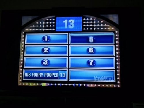 What Has Family Feud Become? - FAIL Nation - Vintage FAILs Of The Epic ...