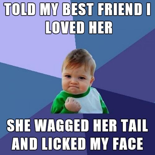 Man's Best Friendzone - NO LONGER - Memebase - Funny Memes