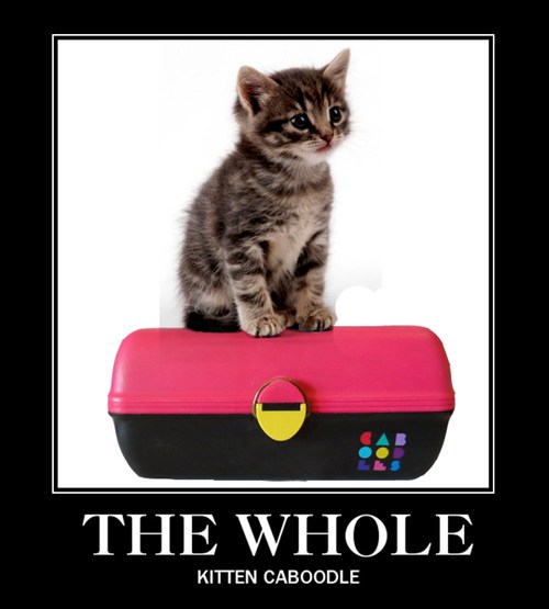 The Whole Kit'n Caboodle Puns Pun Pictures