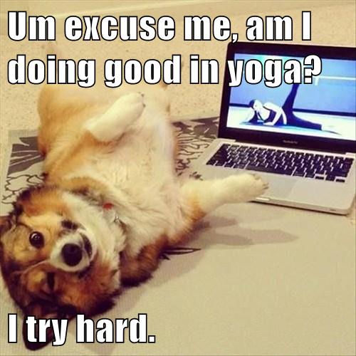 Thoughts During Yoga Relaxation Yoga Quotes Funny Yoga Funny Yoga Thoughts