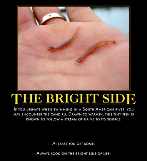 Always Look On The Bright Side Of Life Very Demotivational