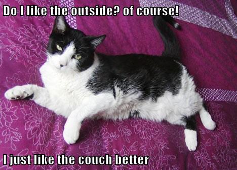 You put the Couch Outside and I'll go With it - Lolcats - lol | cat ...