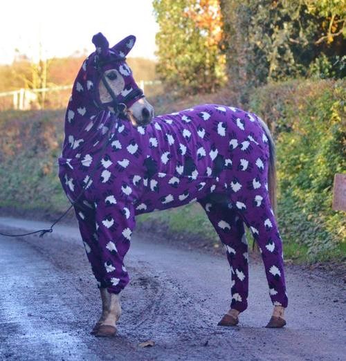 Pjs for horses new arrivals