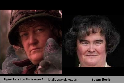 Pigeon Lady From Home Alone 2 Totally Looks Like Susan Boyle Totally Looks Like