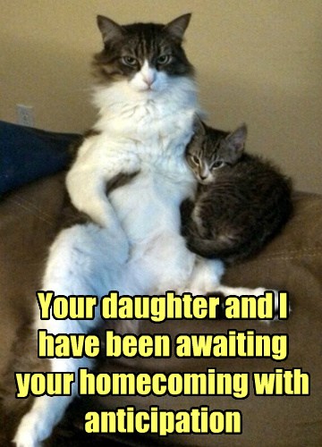 Dad Took Way Too Long to Bring Home the Milk - Lolcats - lol | cat memes | funny cats