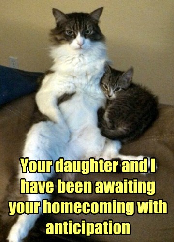 Dad Took Way Too Long to Bring Home the Milk - Lolcats - lol | cat