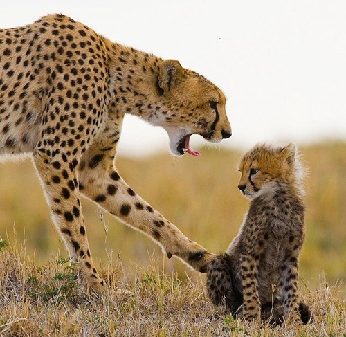 You're in Timeout, Mister! - Daily Squee - Cute Animals - Cute Baby ...