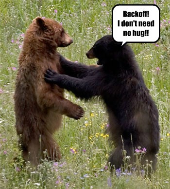 Bear Hugs Can Sometimes Be Too Much... - Animal Comedy - Animal Comedy