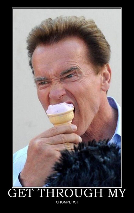One Angry Ice Cream Face - Very Demotivational - Demotivational Posters