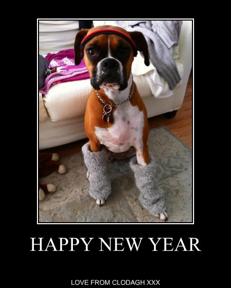 HAPPY NEW YEAR - I Has A Hotdog - Dog Pictures - Funny pictures of dogs