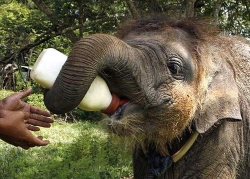 They Say When They Can Hold Their Own Bottle, ItsTime