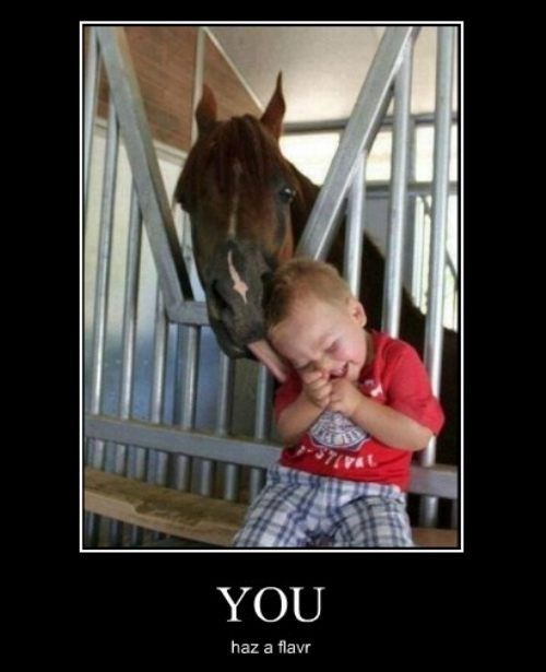 Being Eaten by a Horse Is Adorable - Very Demotivational - Demotivational  Posters | Very Demotivational | Funny Pictures | Funny Posters | Funny Meme
