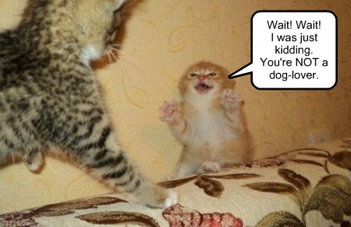 I Take it Back! - Lolcats - lol | cat memes | funny cats | funny cat ...