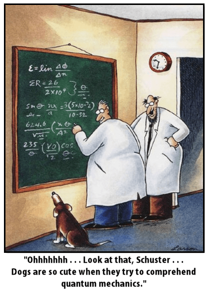 dogs-quantum-mechanics-science-funny-8012195840