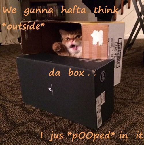 Sometimes Creativity Stinks Lolcats lol cat memes funny cats