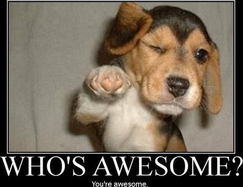 It\'s National Compliment Day and YOU ARE AWESOME! - I Has A Hotdog ...