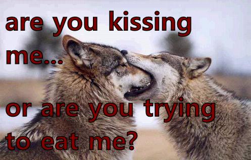 The Kissing Habits are Unclear for Wolves...Even for Them - I Has A
