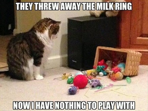 milk ring cat toy