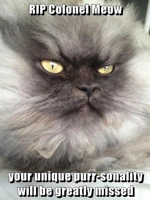 dating a guy with a baby