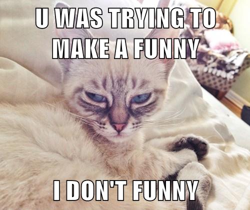 I DON'T FUNNY - Lolcats - lol | cat memes | funny cats | funny cat ...