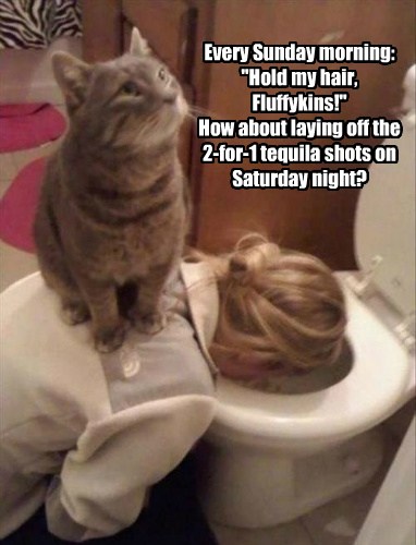 She Didn T Ask For A Judgmental Cat Lolcats Lol Cat Memes Funny Cats Funny Cat Pictures With Words On Them Funny Pictures Lol Cat Memes Lol Cats