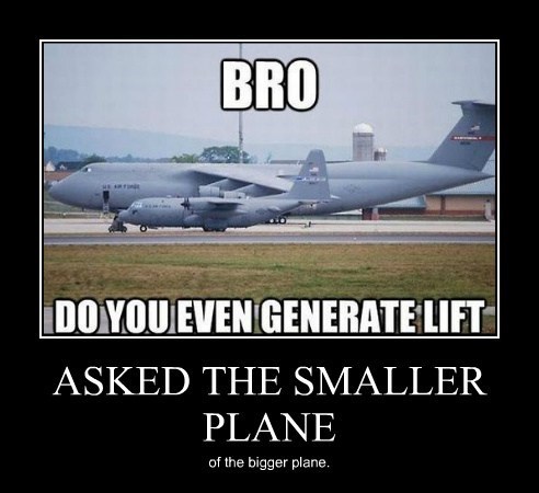 Seems to Big to Fly - Very Demotivational - Demotivational Posters ...