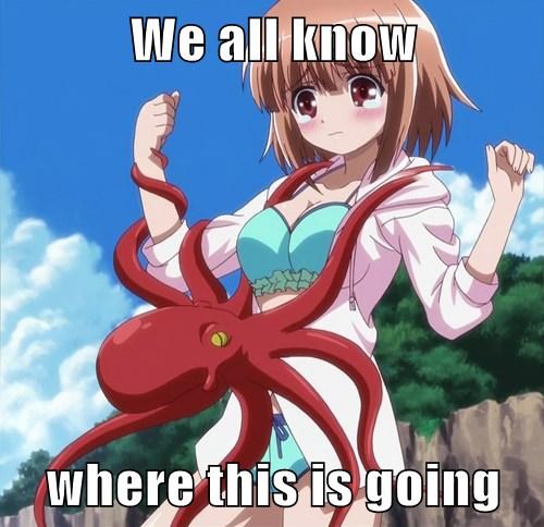 https://i.chzbgr.com/original/8039215616/h6D045F3E/tentacle-time