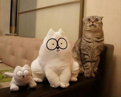 simon's cat kitten plush
