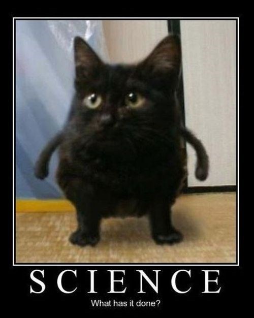 Kittens Now Have Tiny Raptor Arms - Very Demotivational - Demotivational Posters | Very