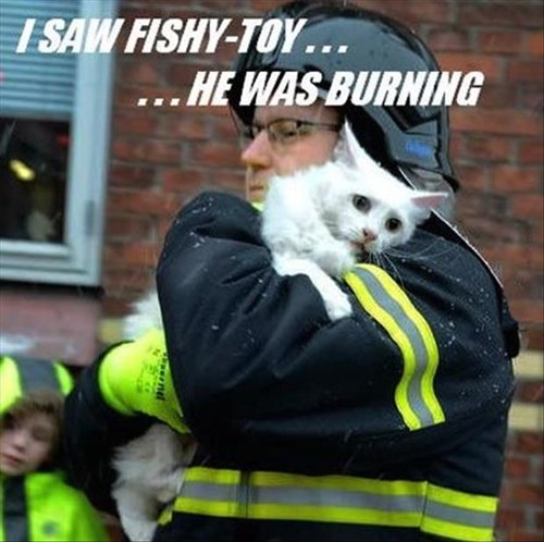 Fishy-toy Will Be Missed - Lolcats - Lol 