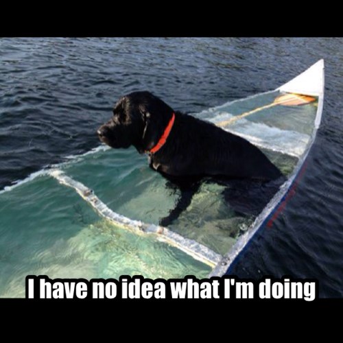 Good Thing He's a Water Dog - I Has A Hotdog - Dog Pictures - Funny ...