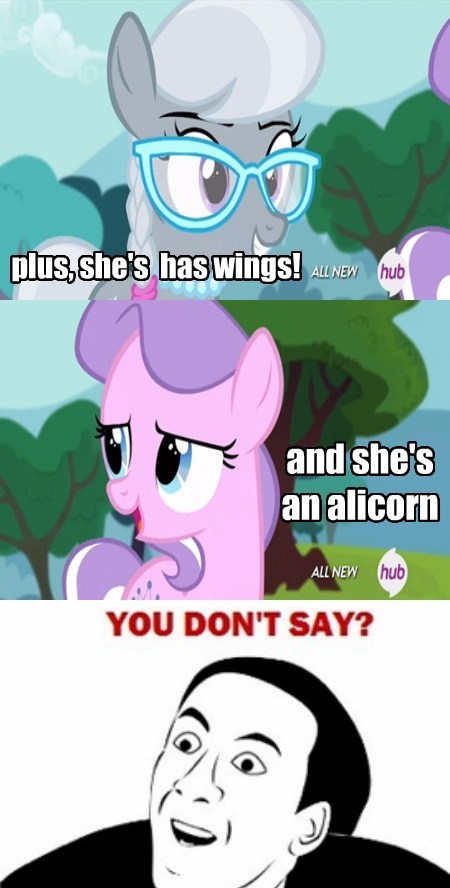 My Little Brony - you dont say - my little pony 