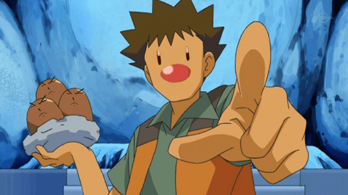 Diglett Wednesday: Brock Face Swap - Pokémemes - Pokémon, Pokémon GO