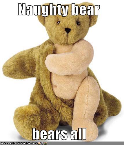 naughty bear plush