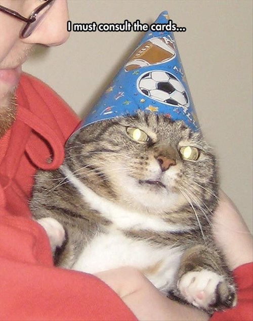 Lolcats fortune teller LOL at Funny Cat Memes Funny cat pictures